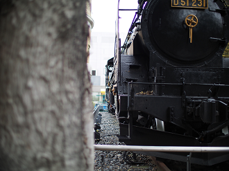 P9231225_thumb.png