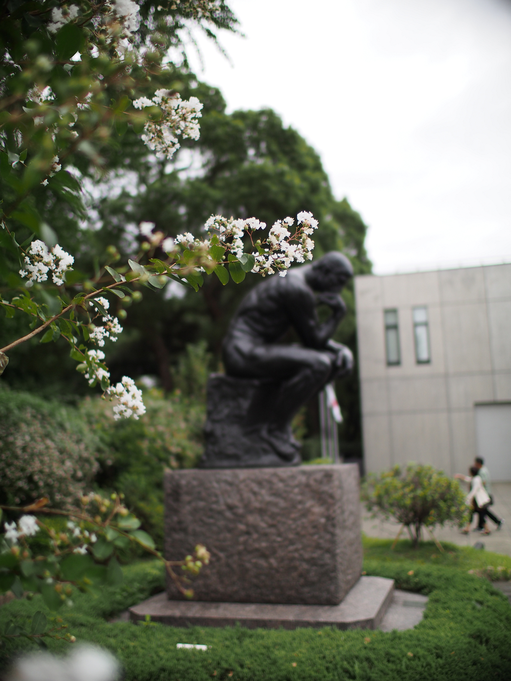 P9231232.jpg