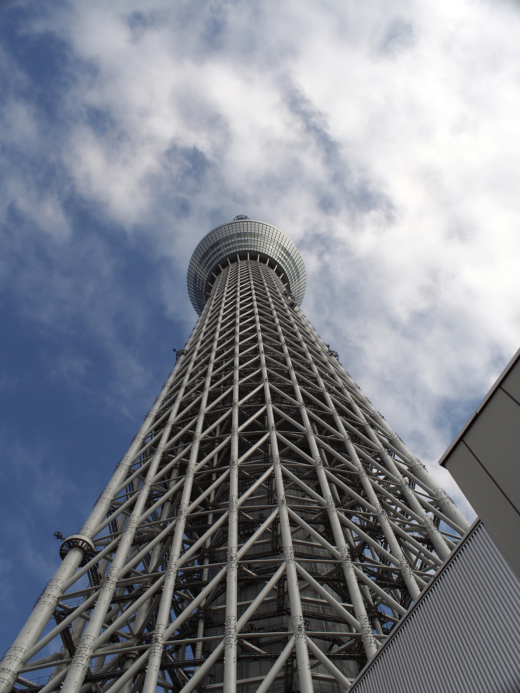 P9231362.jpg
