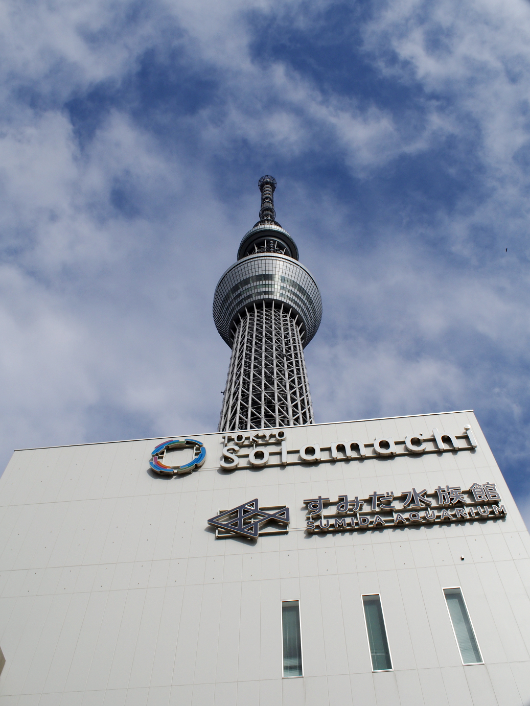 P9231363.jpg