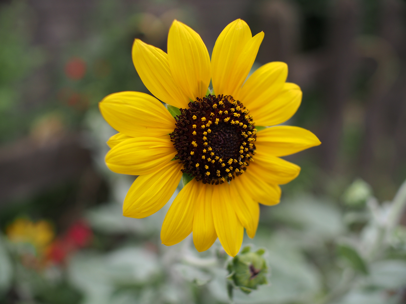 P9231380.jpg
