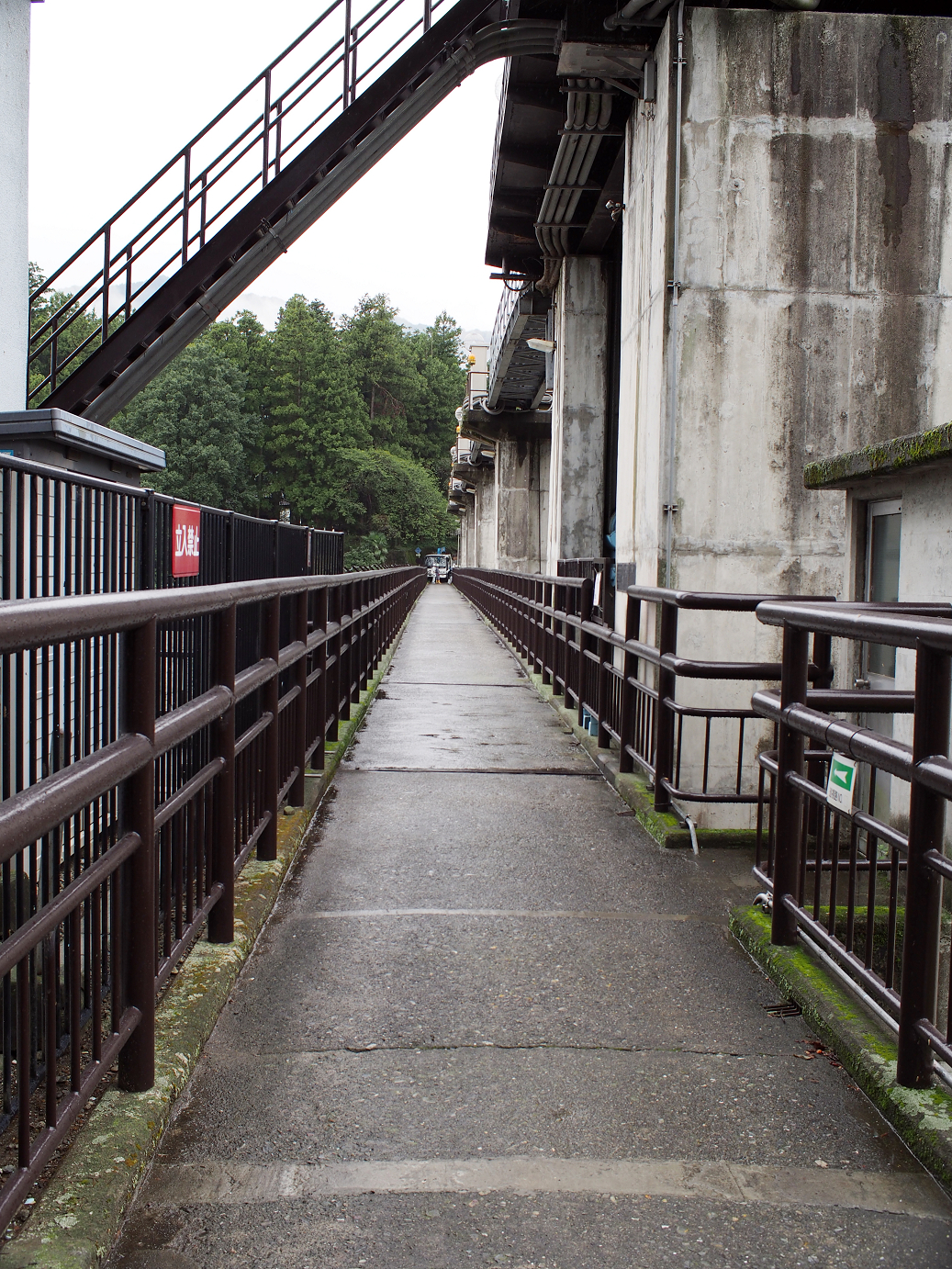 P91240002.jpg