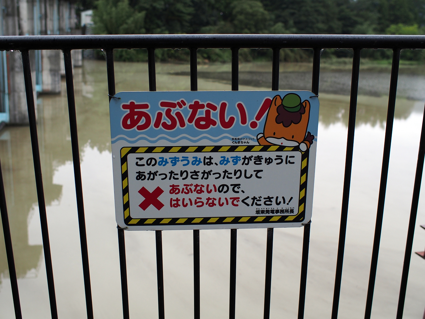 P91240003.jpg