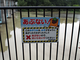 P91240003_thumb.png