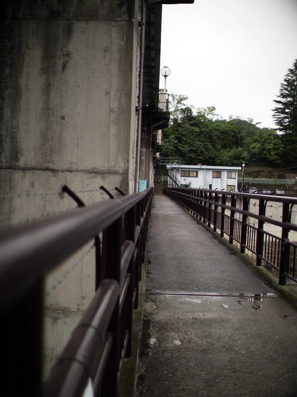 P91240016.jpg