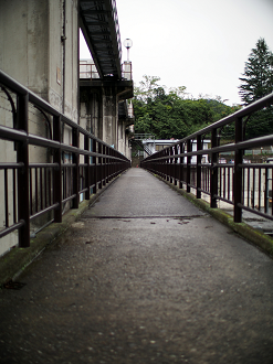 P91240017_thumb.png