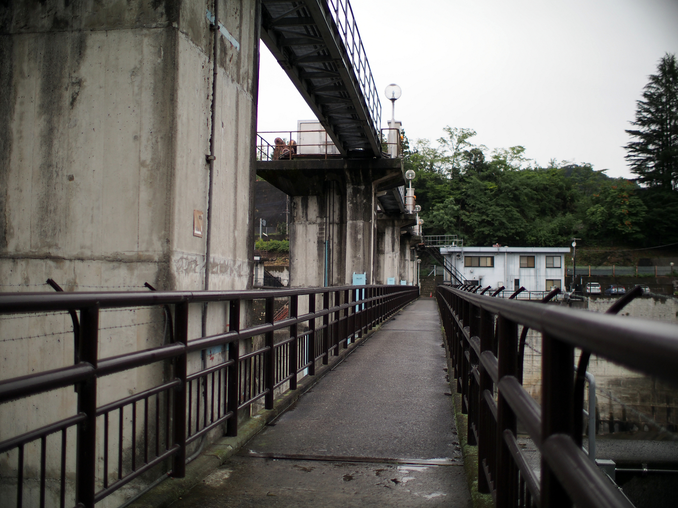 P91240018.jpg