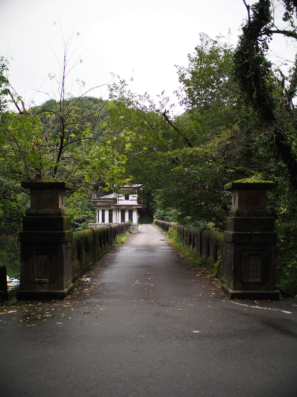 P91240050.jpg