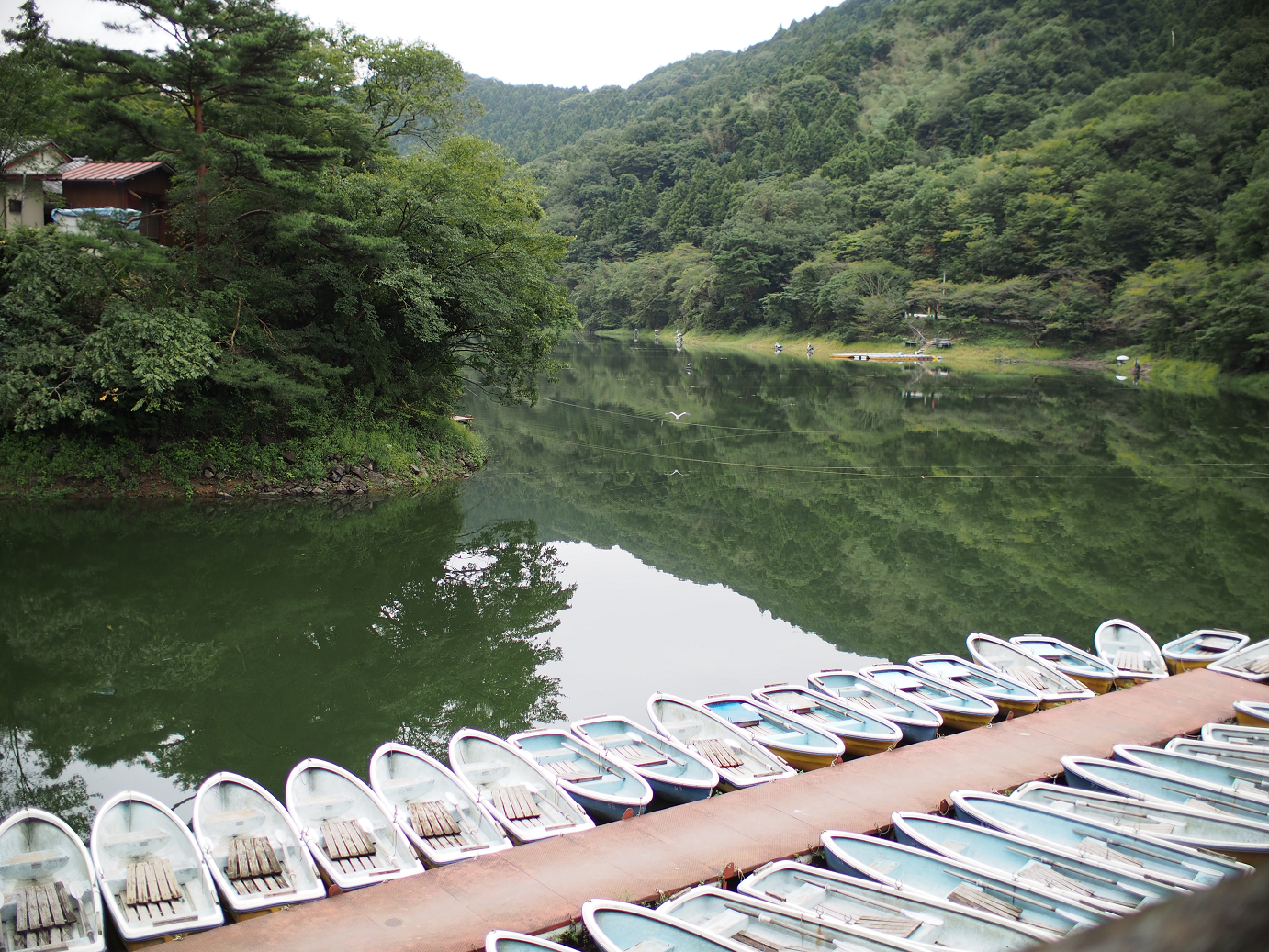 P91240062.jpg