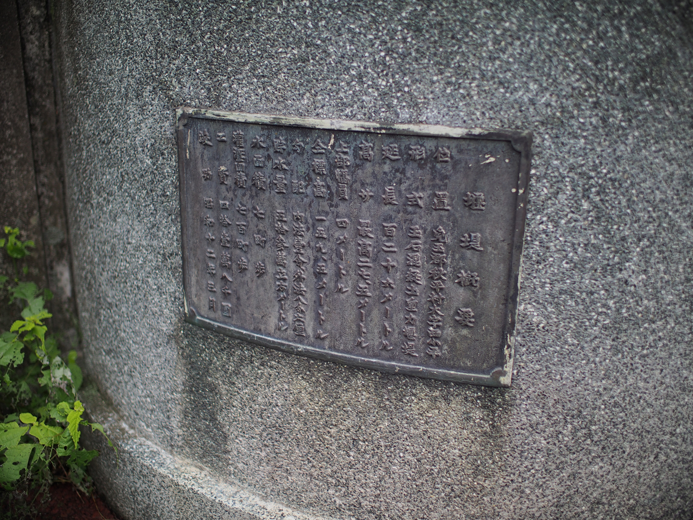 P91240067.jpg