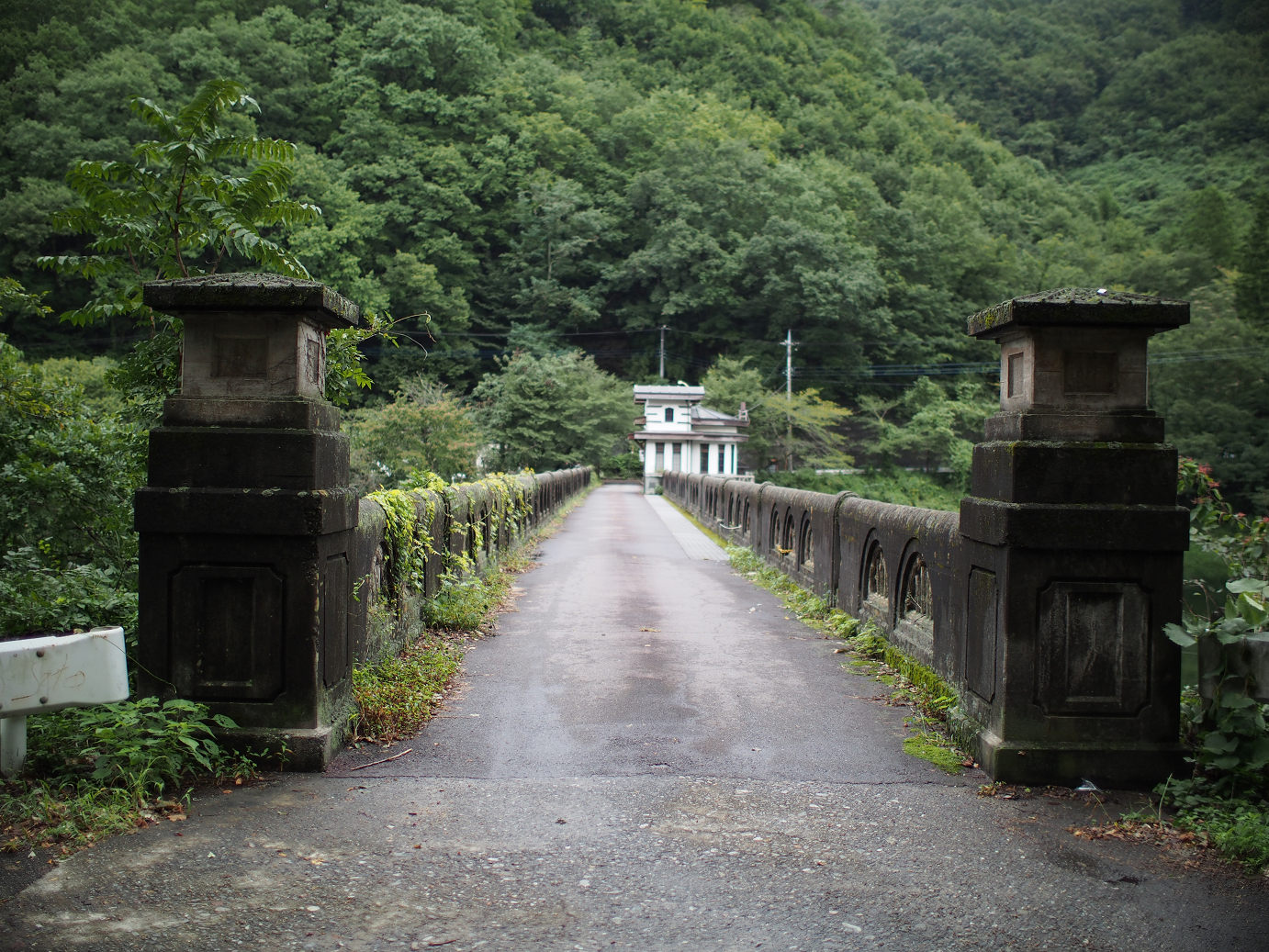 P91240071.jpg