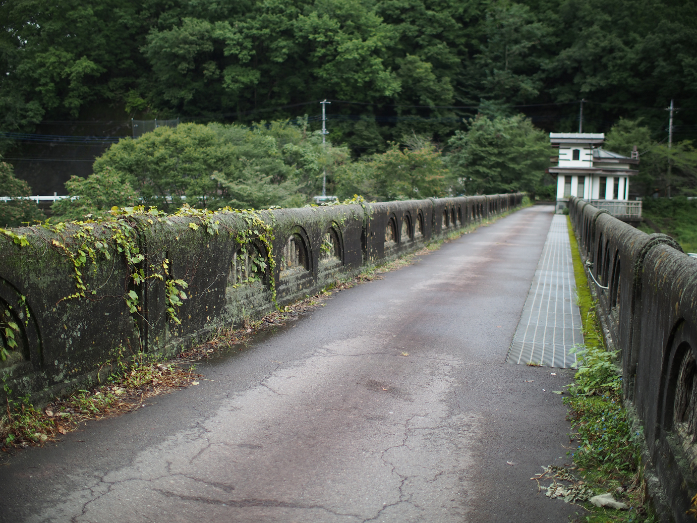 P91240075.jpg