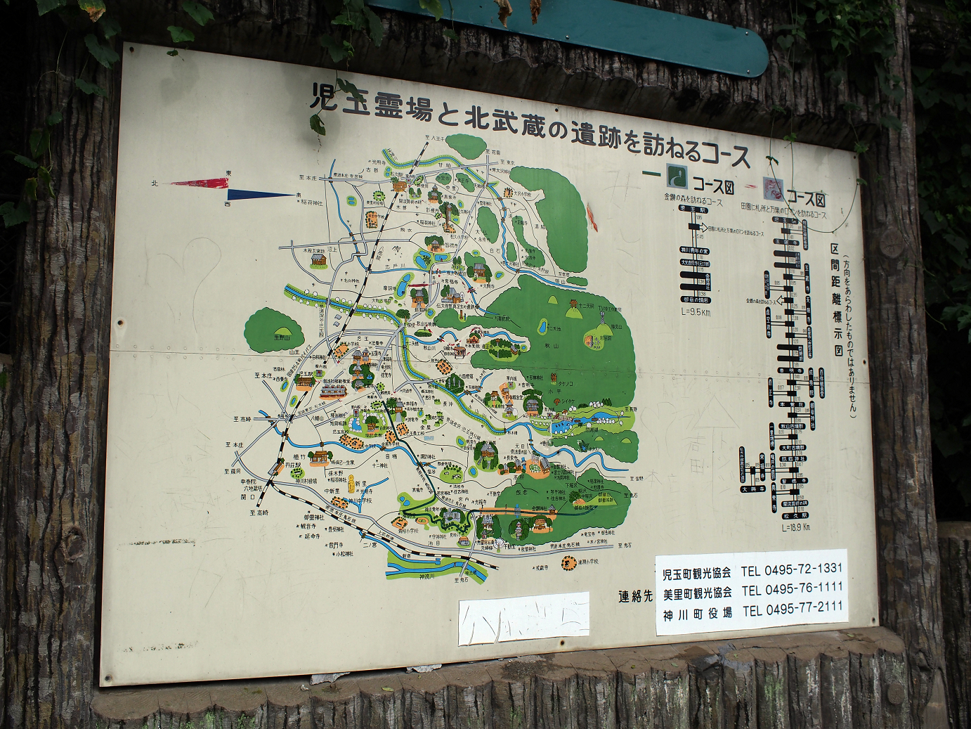 P91240081.jpg
