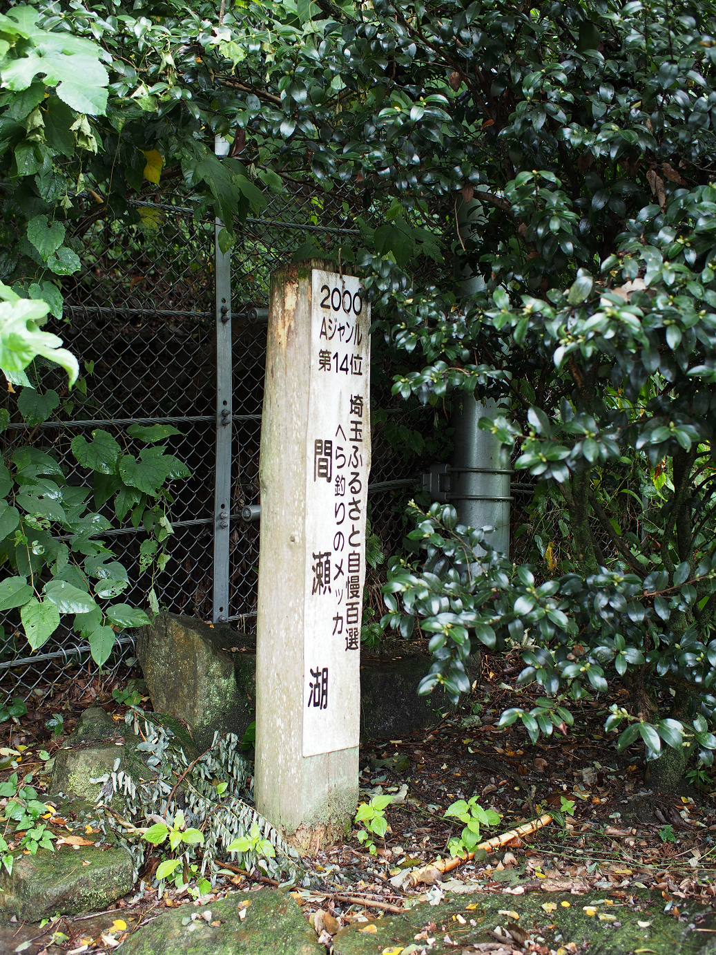 P91240082.jpg