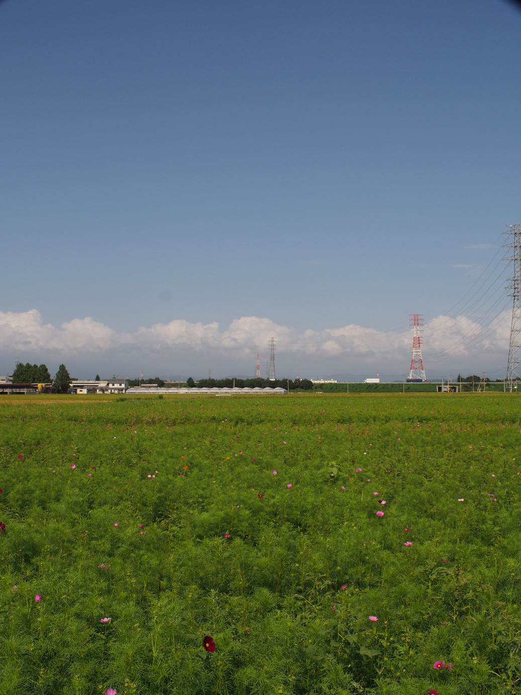 P91240093.jpg