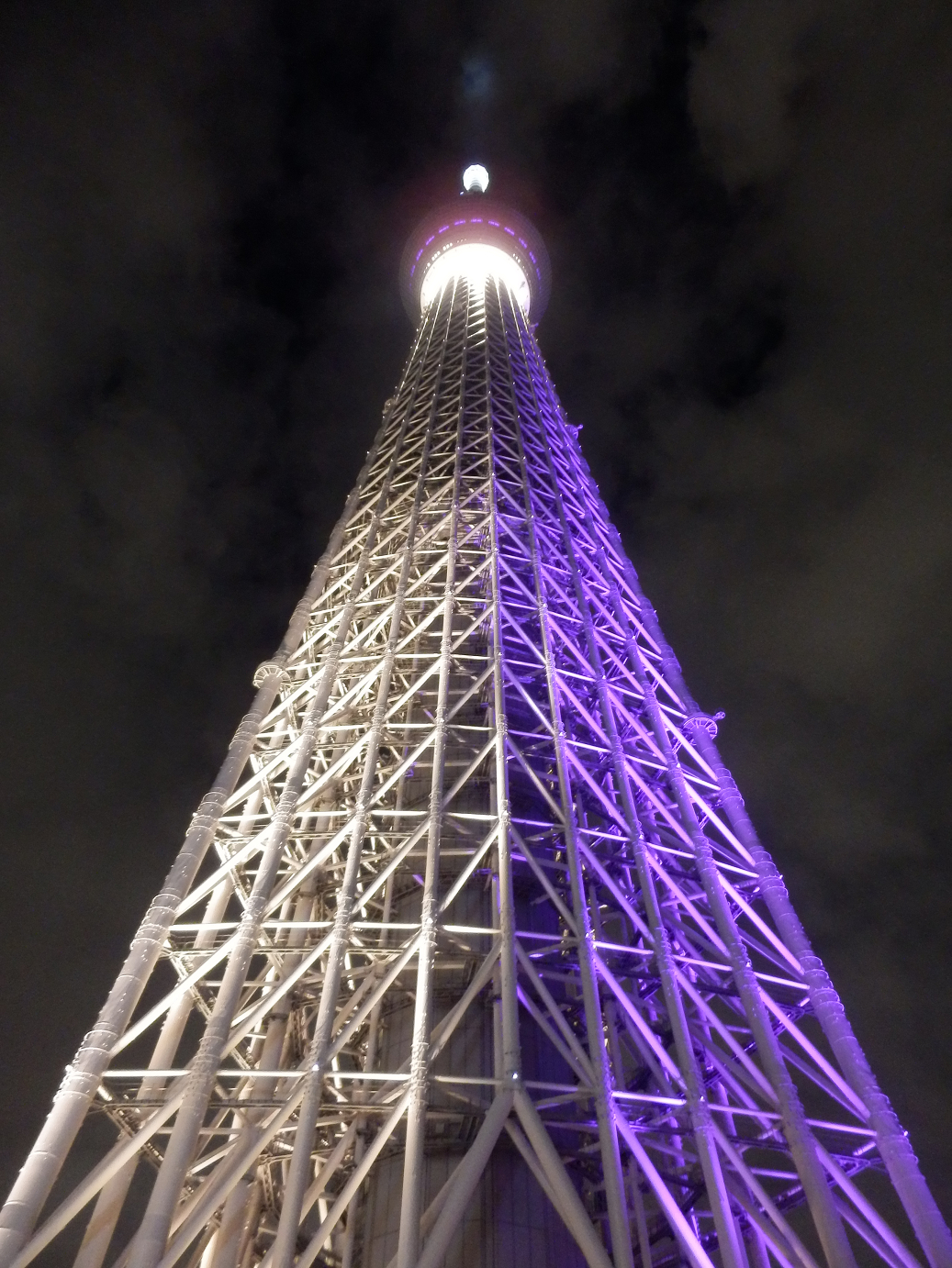 P9261353.jpg