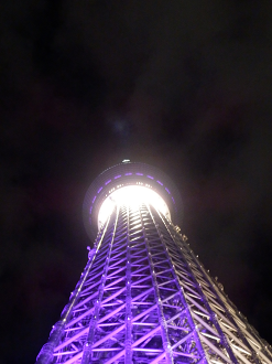 P9261497_thumb.png