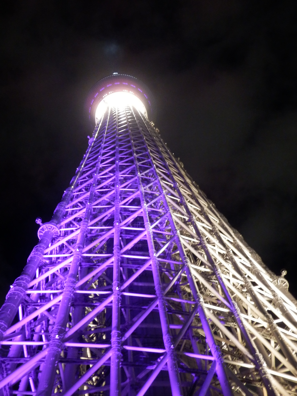 P9261501.jpg