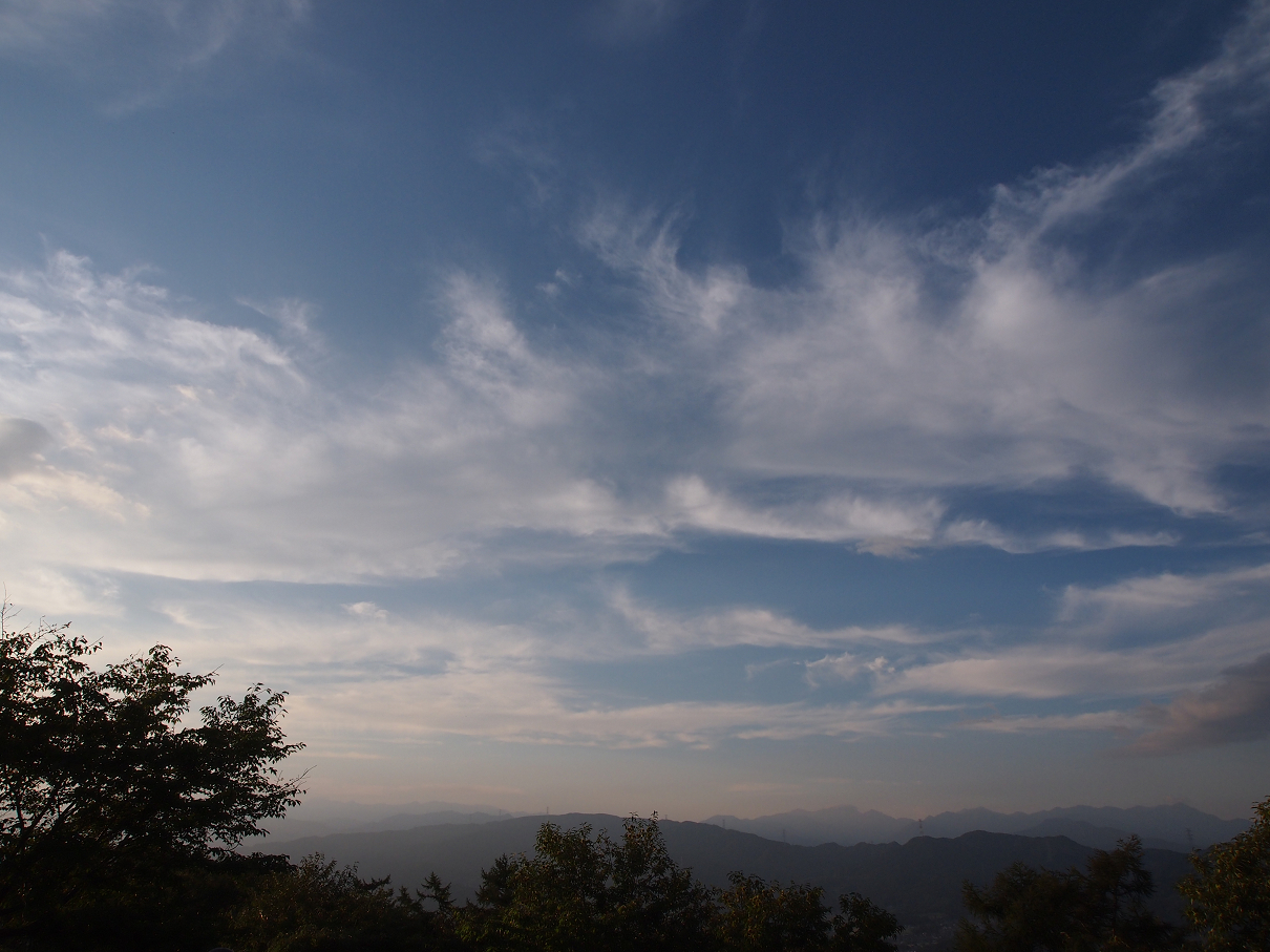 P9285987.jpg