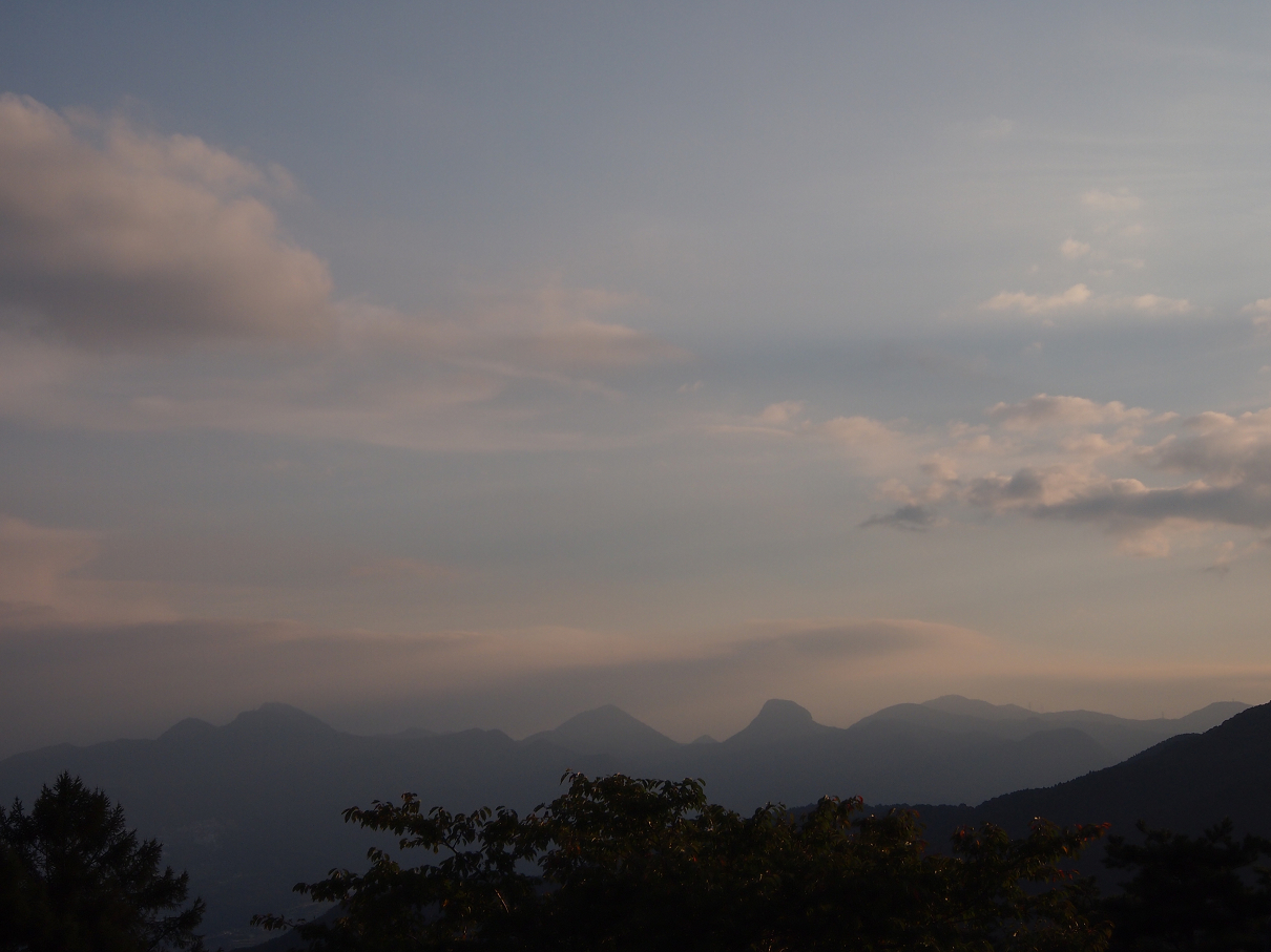 P9285988.jpg
