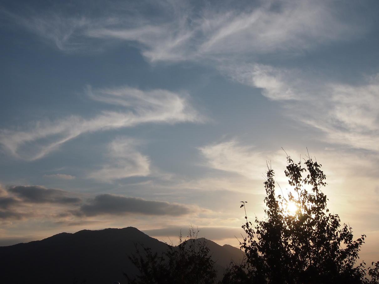 P9285990.jpg