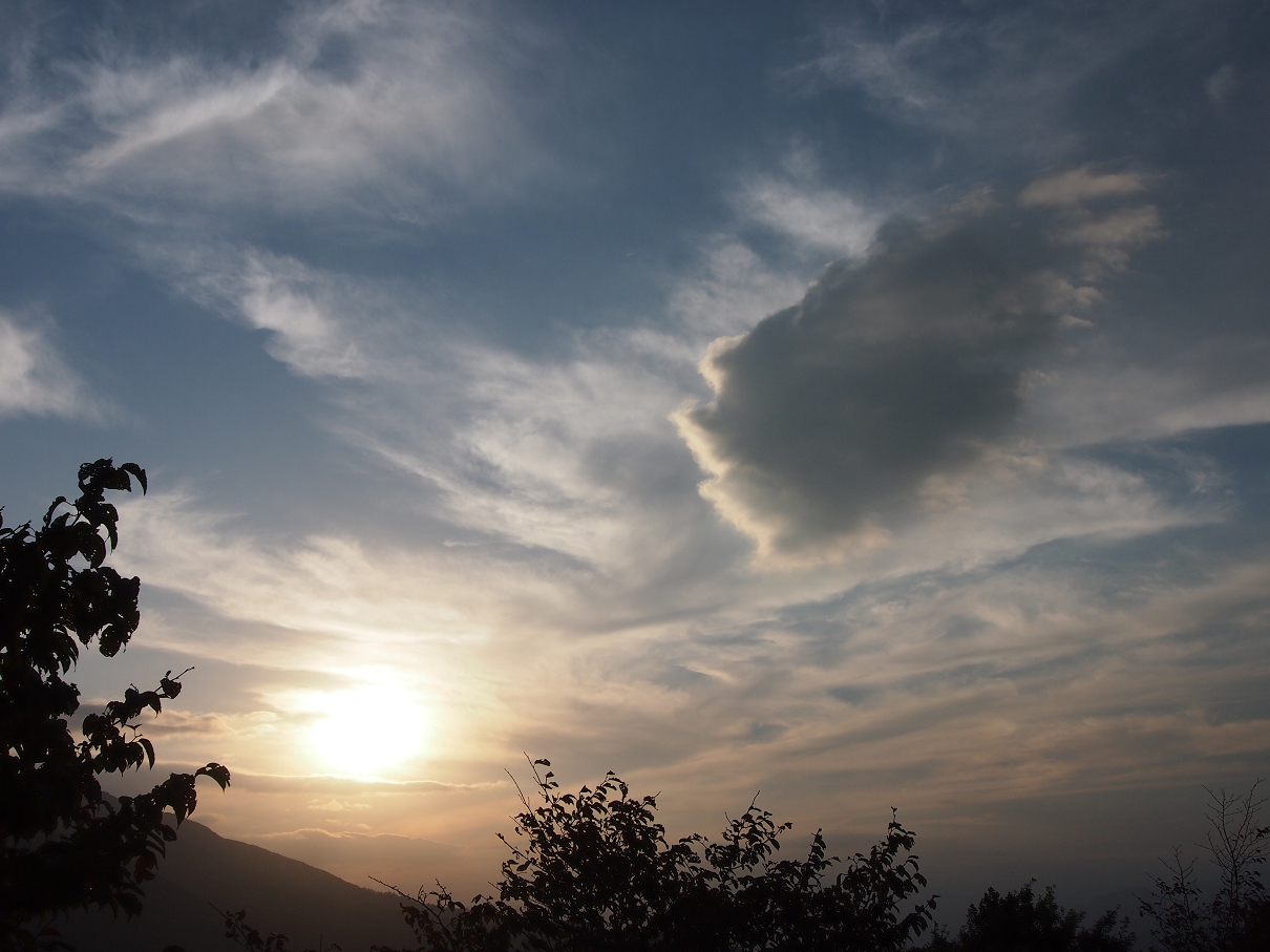 P9285996.jpg