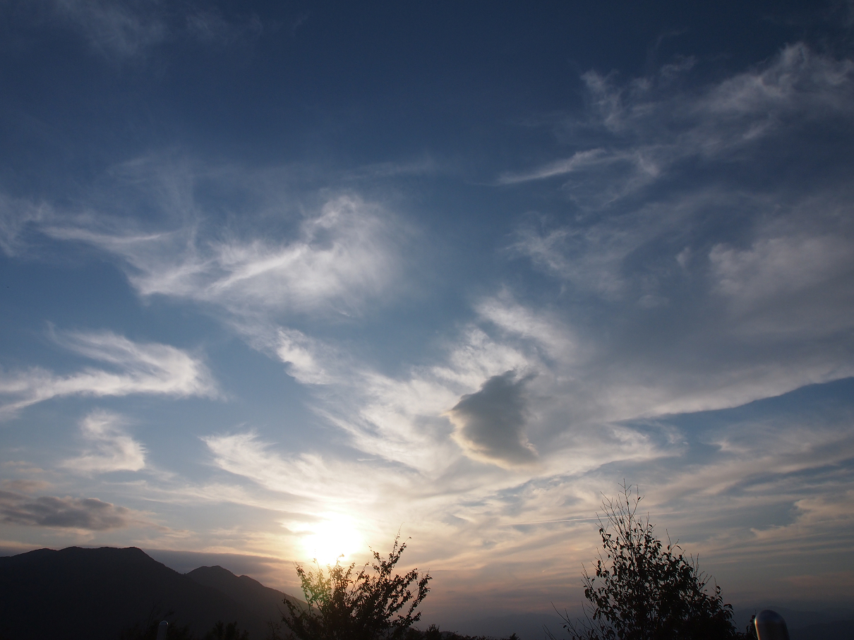 P9286000.jpg