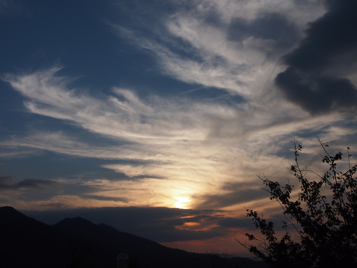 P9286008.jpg