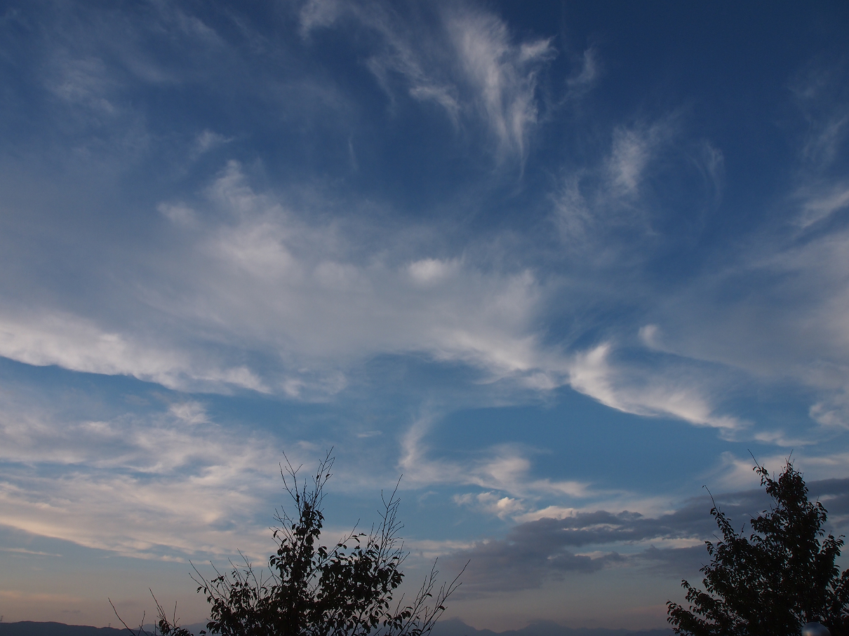 P9286010.jpg