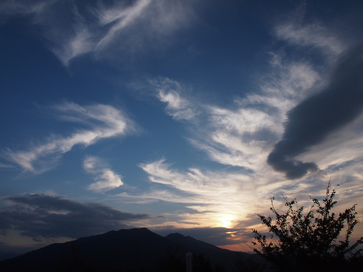P9286011.jpg