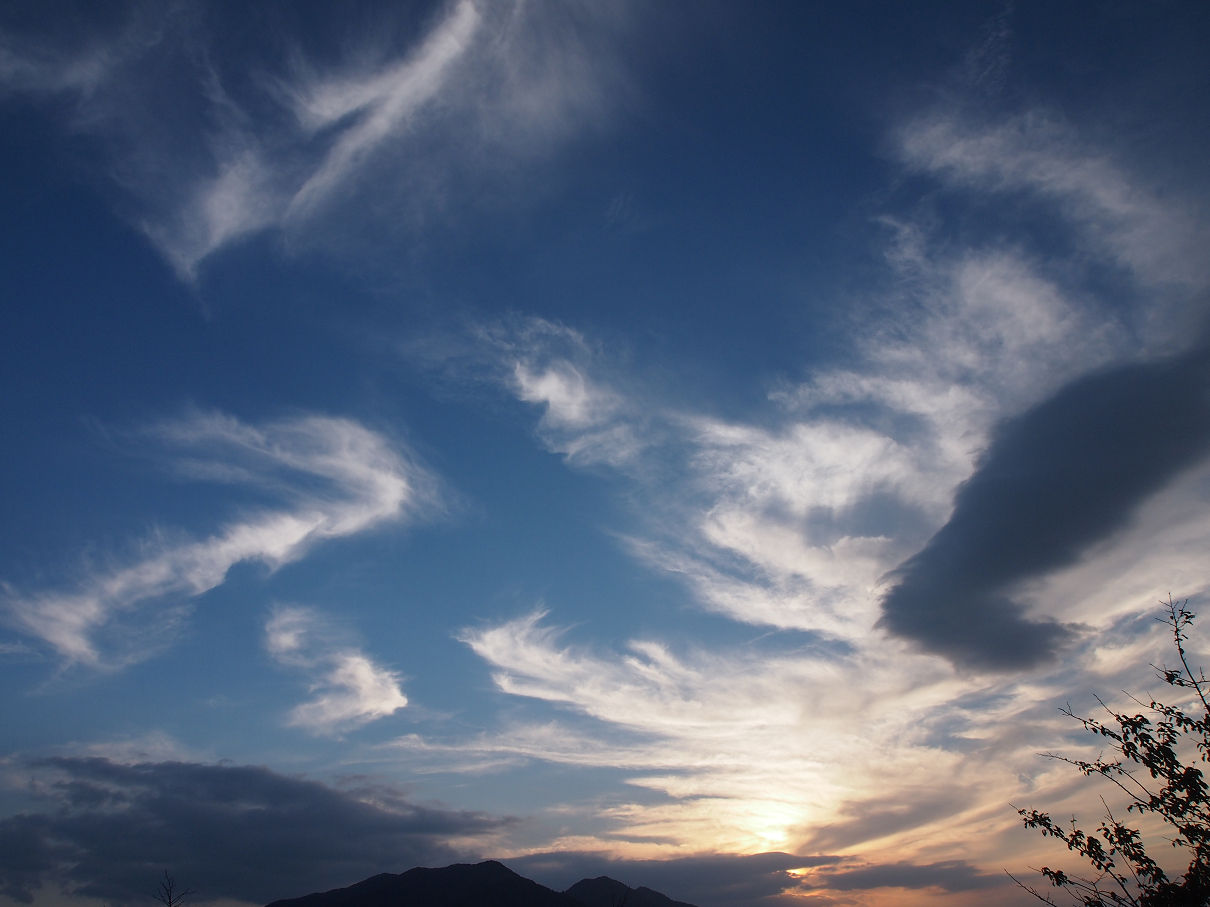 P9286012.jpg