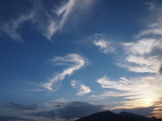 P9286013_thumb.png