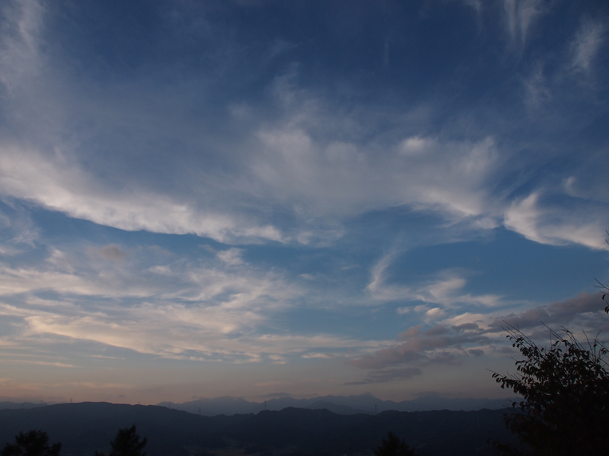 P9286015.jpg