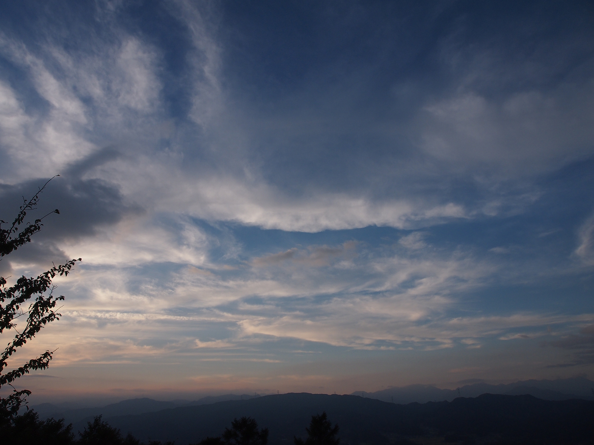 P9286017.jpg