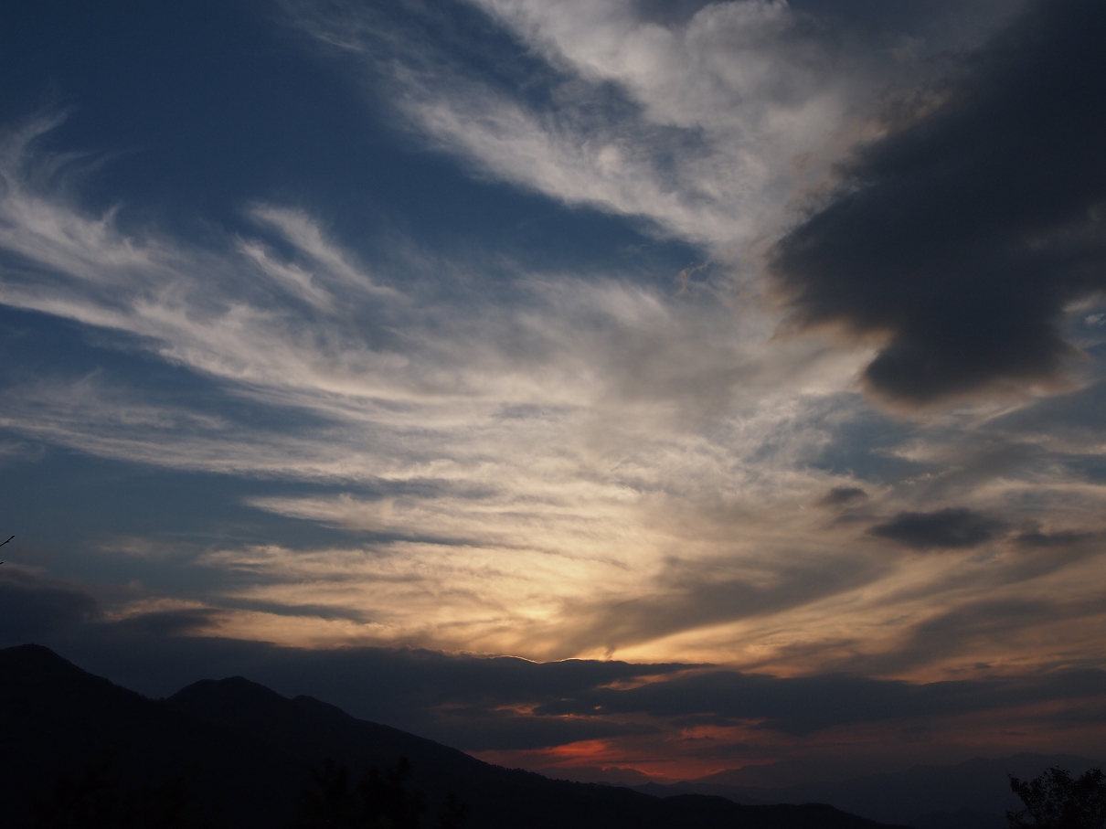 P9286019.jpg