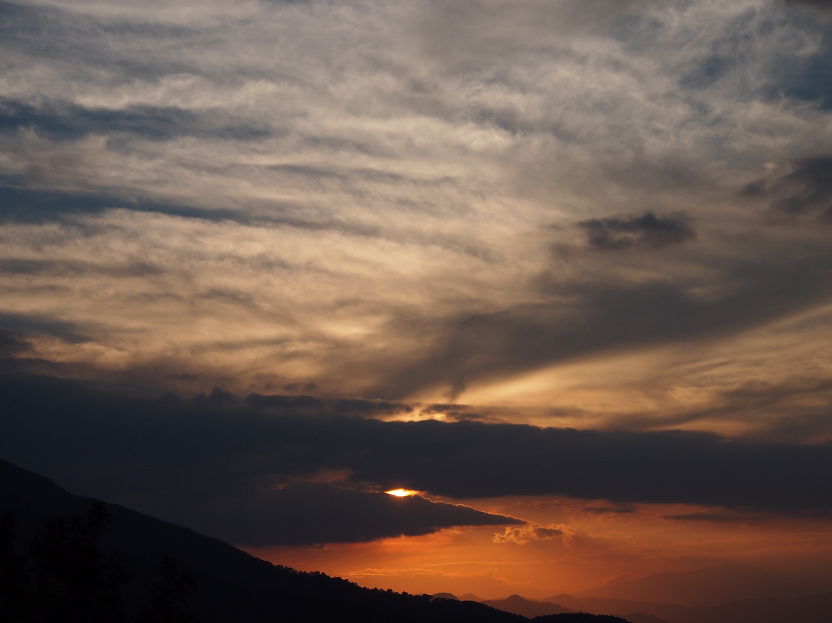 P9286022.jpg