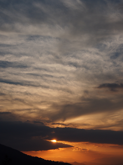 P9286025_thumb.png