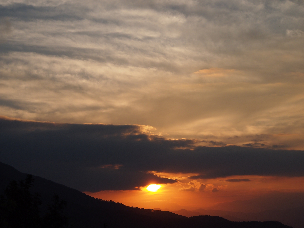 P9286030.jpg