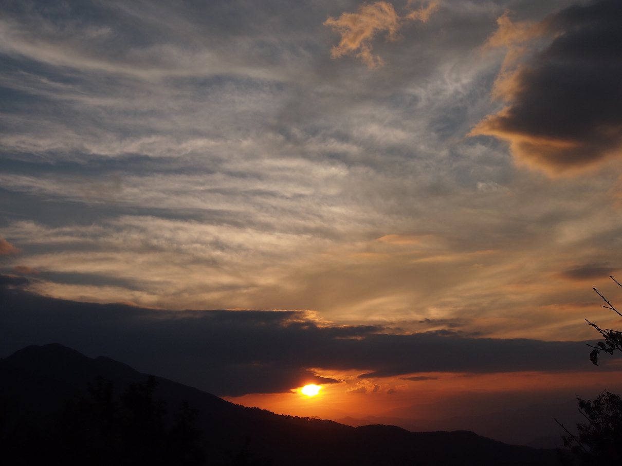 P9286031.jpg