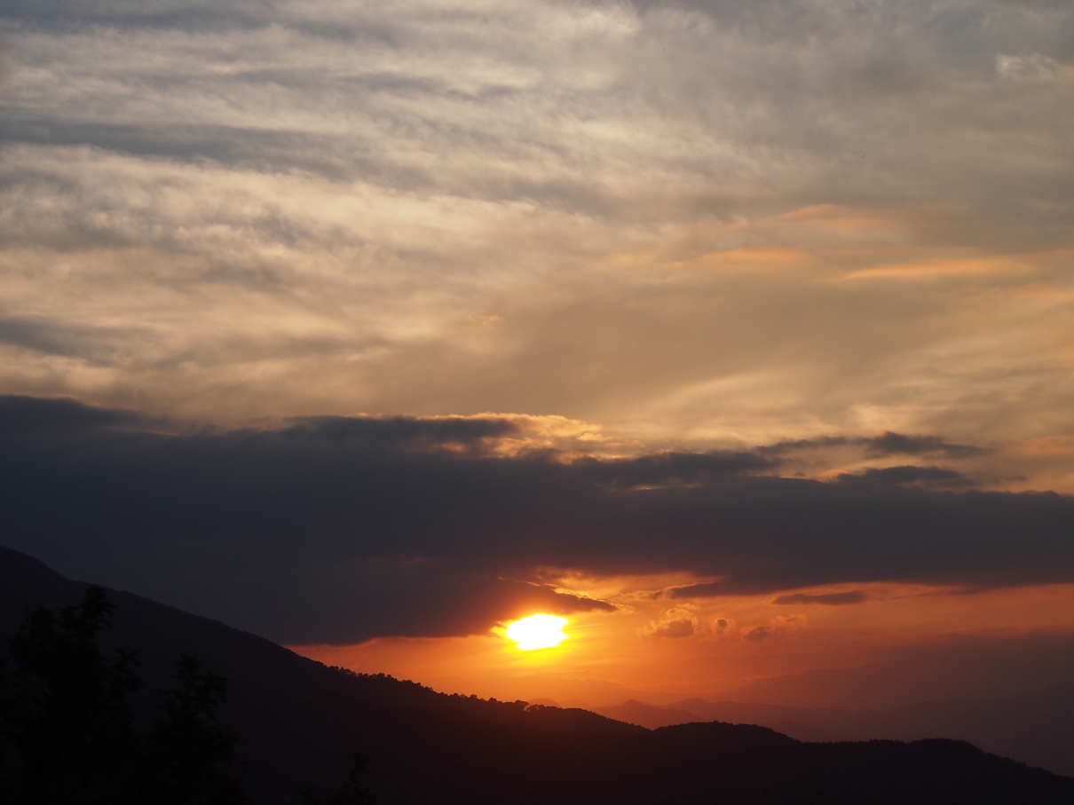 P9286032.jpg