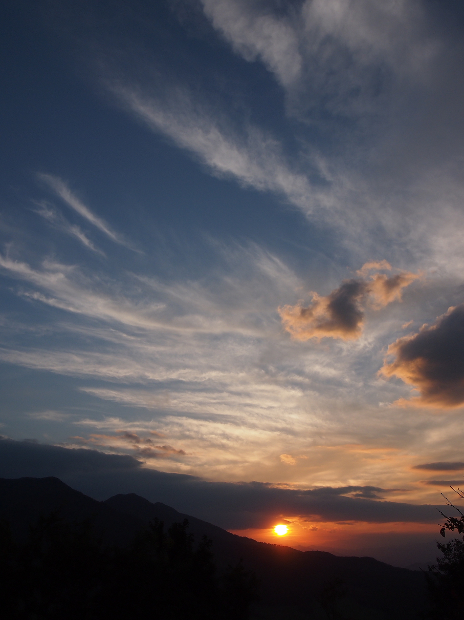 P9286034.jpg