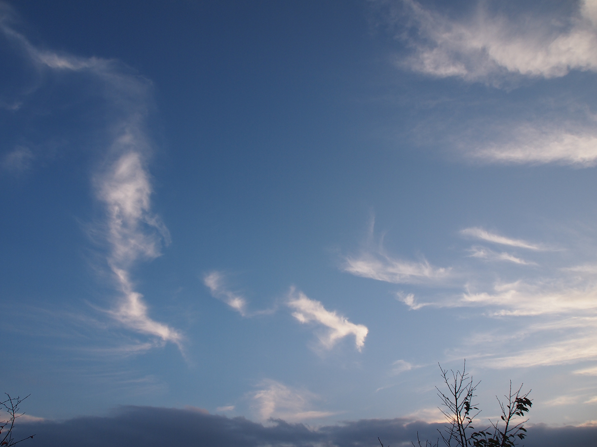 P9286035.jpg