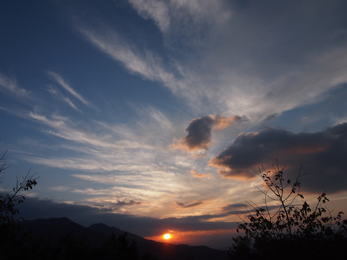 P9286037.jpg