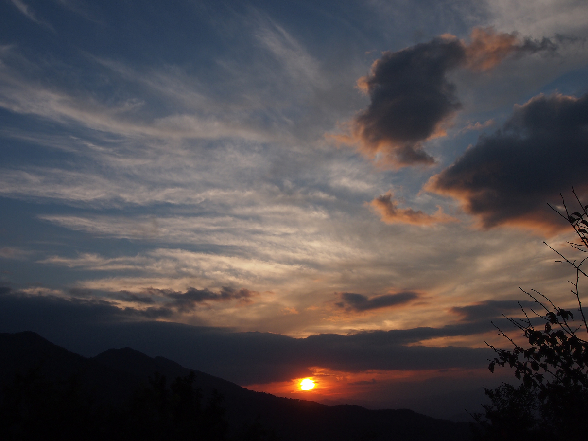 P9286038.jpg