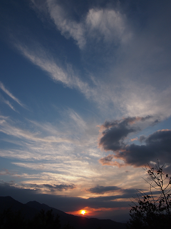 P9286041_thumb.png