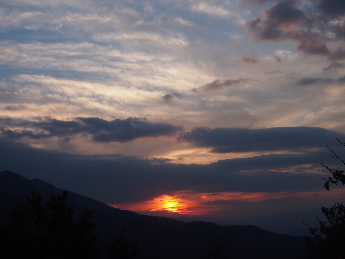 P9286042.jpg