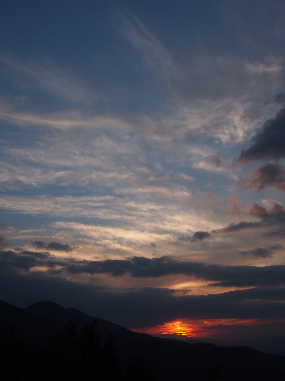 P9286043.jpg
