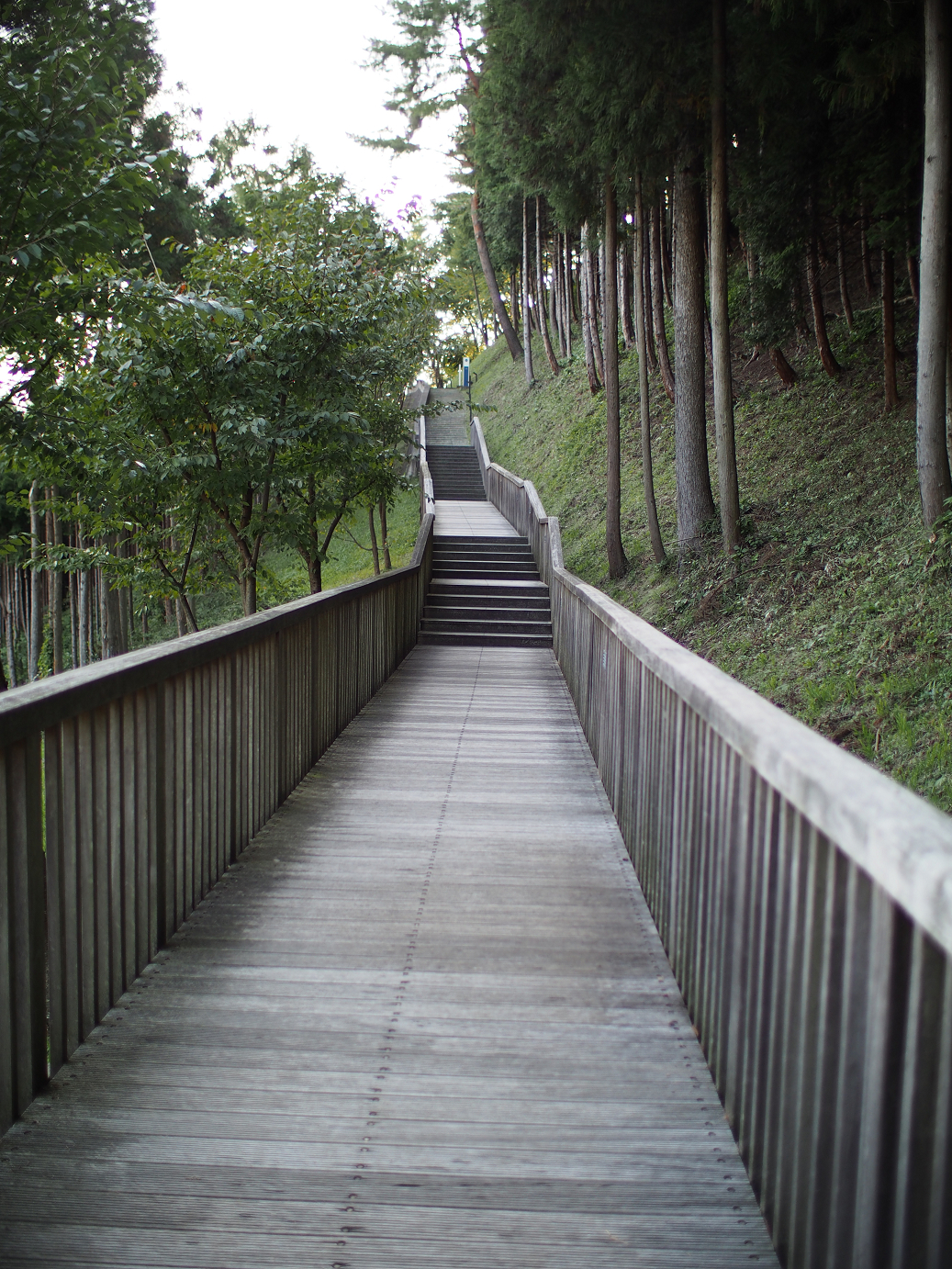 P9280007.jpg