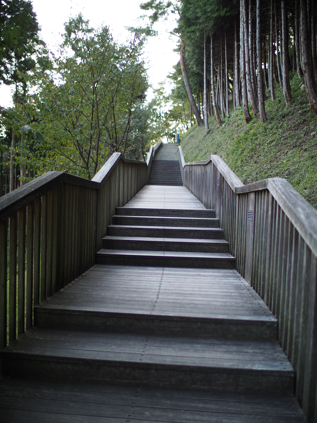 P9280008.jpg
