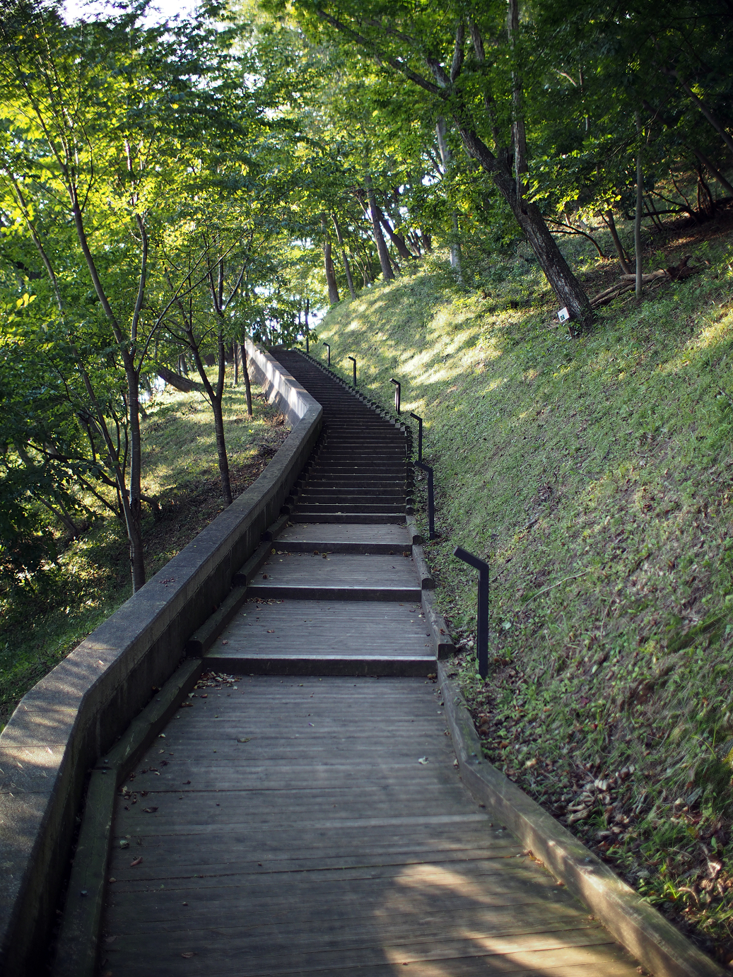 P9280013.jpg